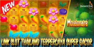 Link Judi Slot Thailand Resmi Terpercaya Super Gacor Maxwin Moleionaire